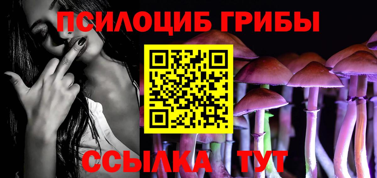 Псилоцибиновые грибы GOLDEN TEACHER Клин